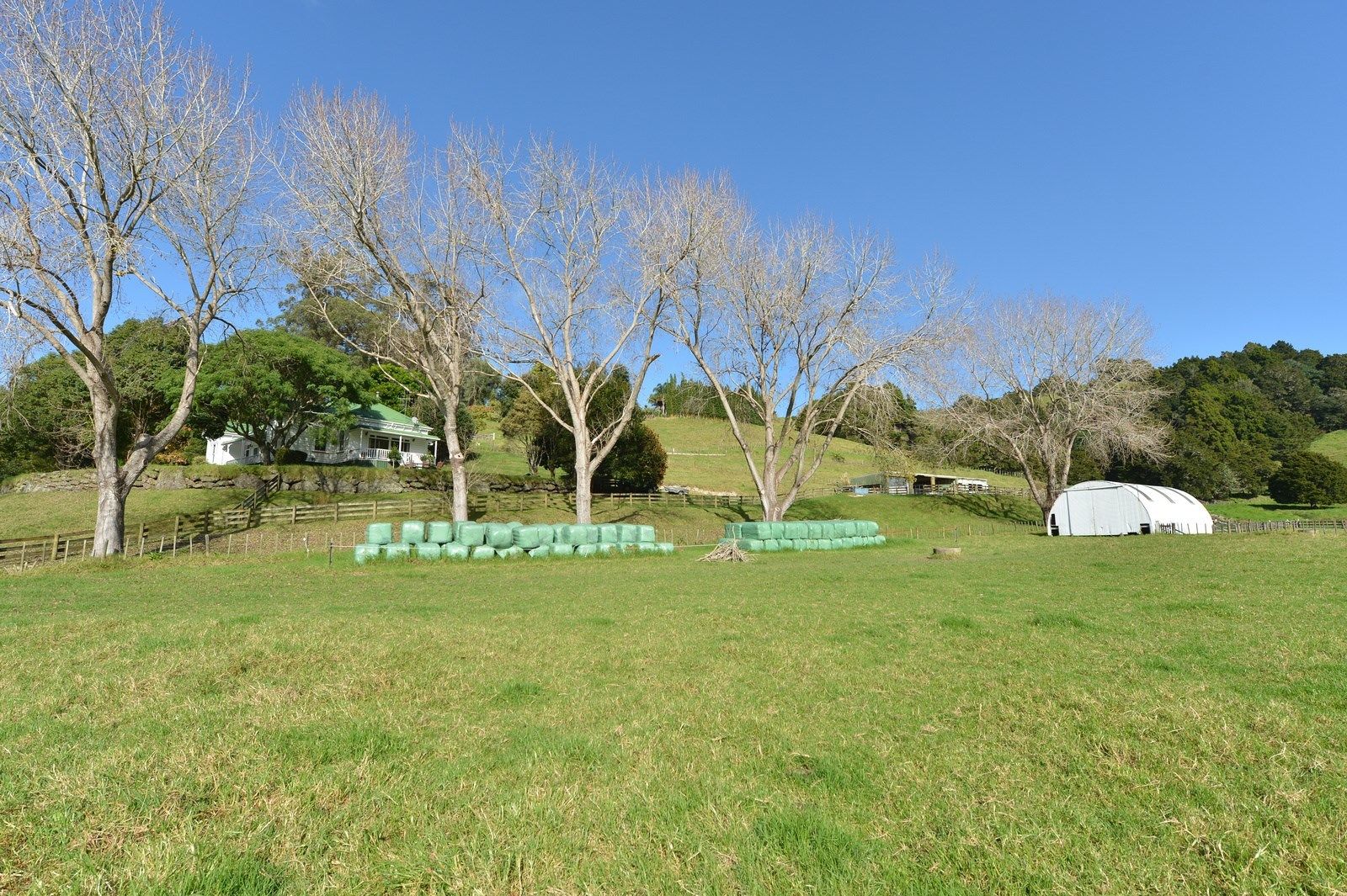 282 Whau Valley Road, Whau Valley, Whangarei, 5部屋, 2バスルーム