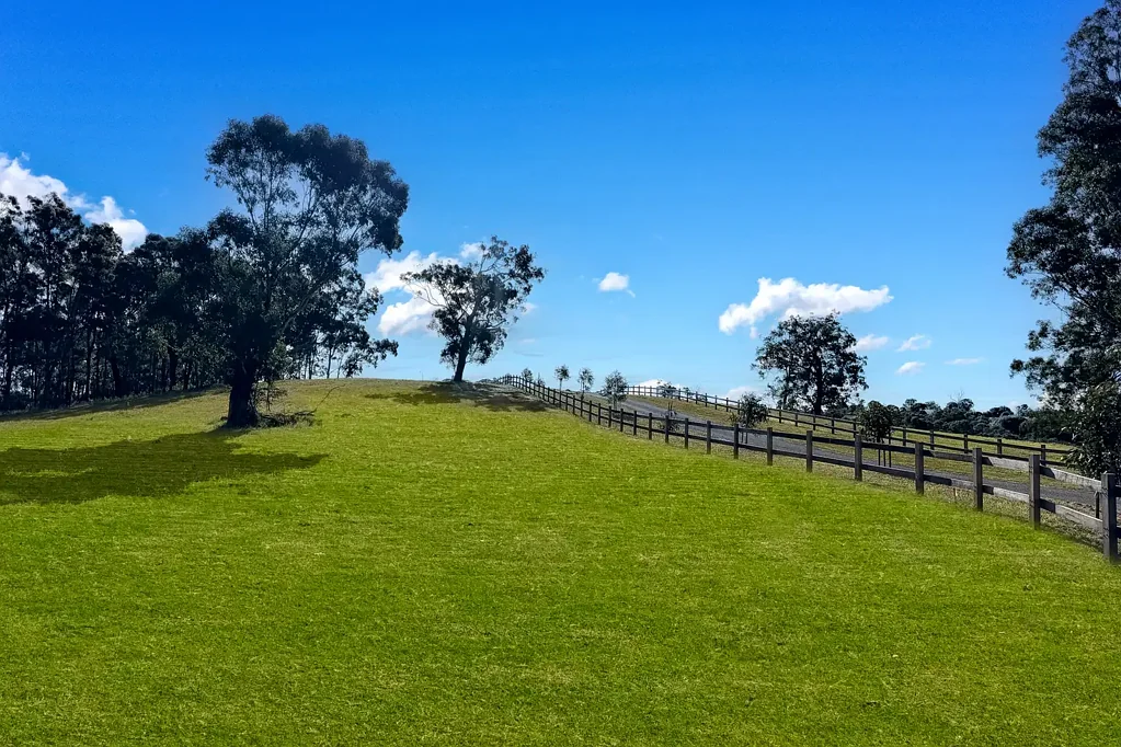 14 Westminster Place, Razorback, NSW 2571