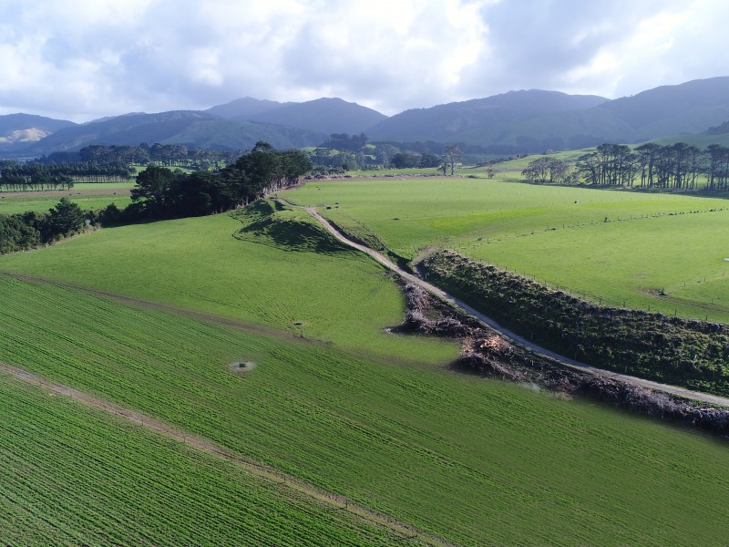 579 Kopikopiko Road, Eketahuna, Tararua, 0房, 0浴