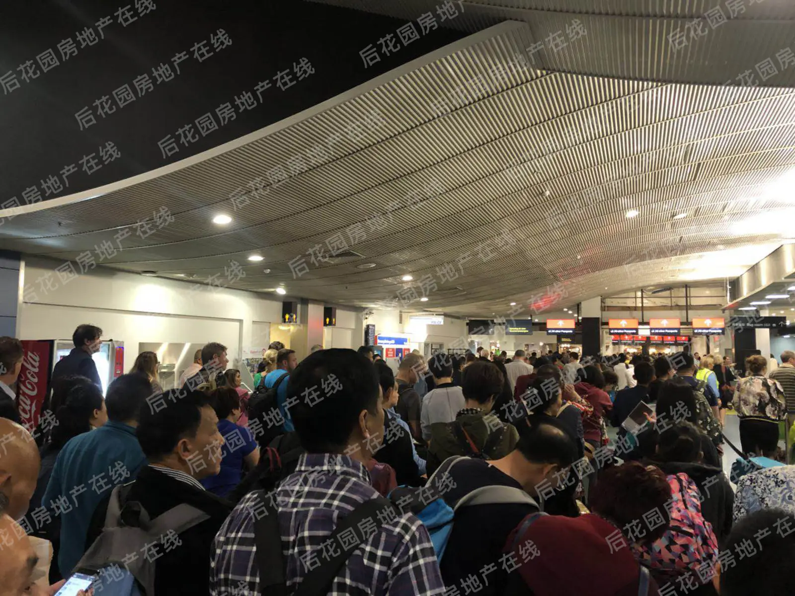 大批中国游客涌入新西兰，总领事馆发布重要通知！