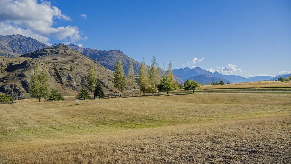 Dalefield/Wakatipu Basin  One of The Best