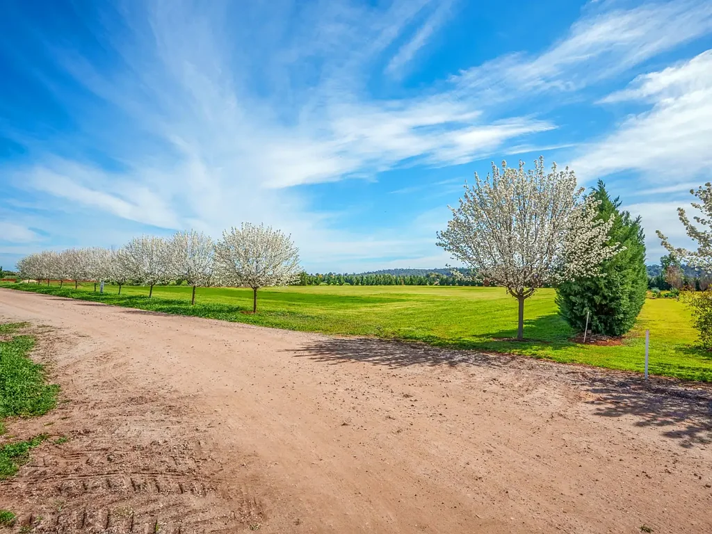 110D Calabria Road, Griffith, NSW 2680