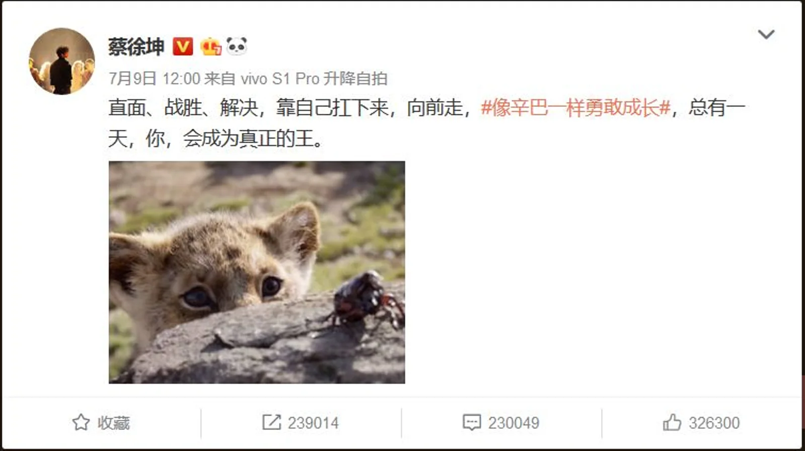 请蔡徐坤宣传《狮子王》,迪士尼怎么想的?