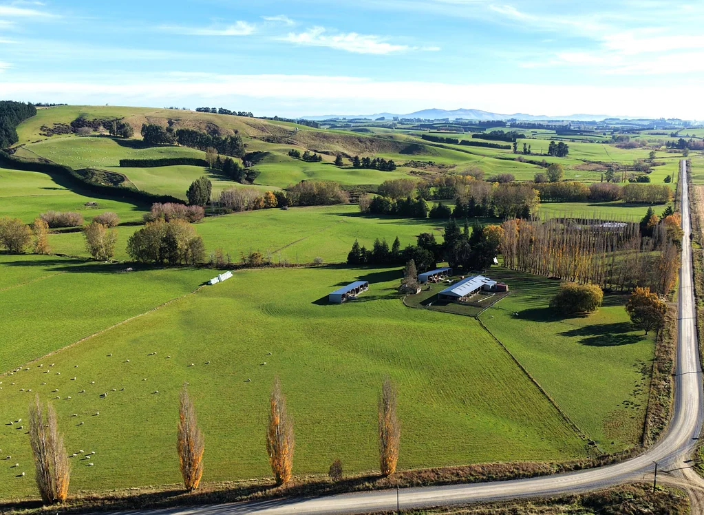 Tapanui An Attractive Farming Opportunity in Waikoikoi