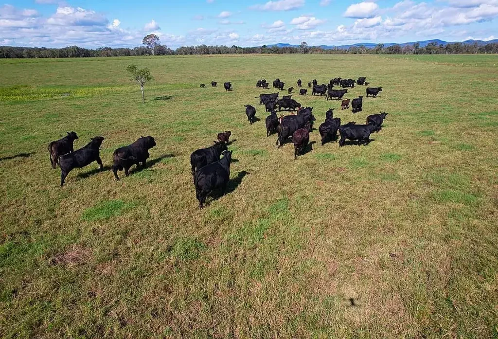 Ilbilbie Rural Lifestyle