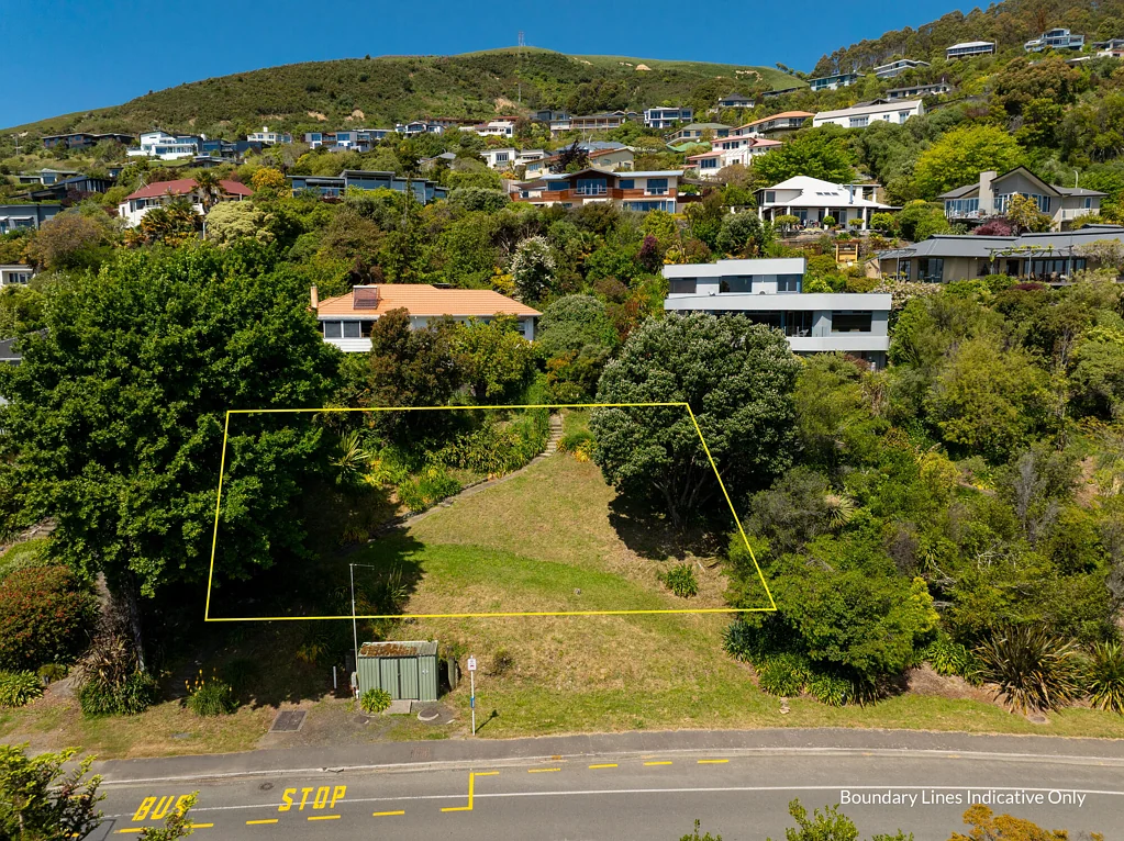 Atawhai Blank Canvas - 385 sqm Atawhai Section (land only)