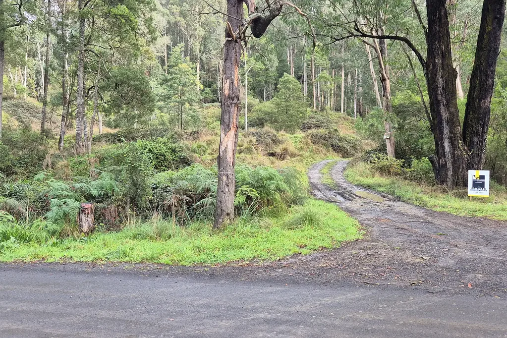 Coopers Creek A Hidden High Country Escape with a Rich Mining Legacy