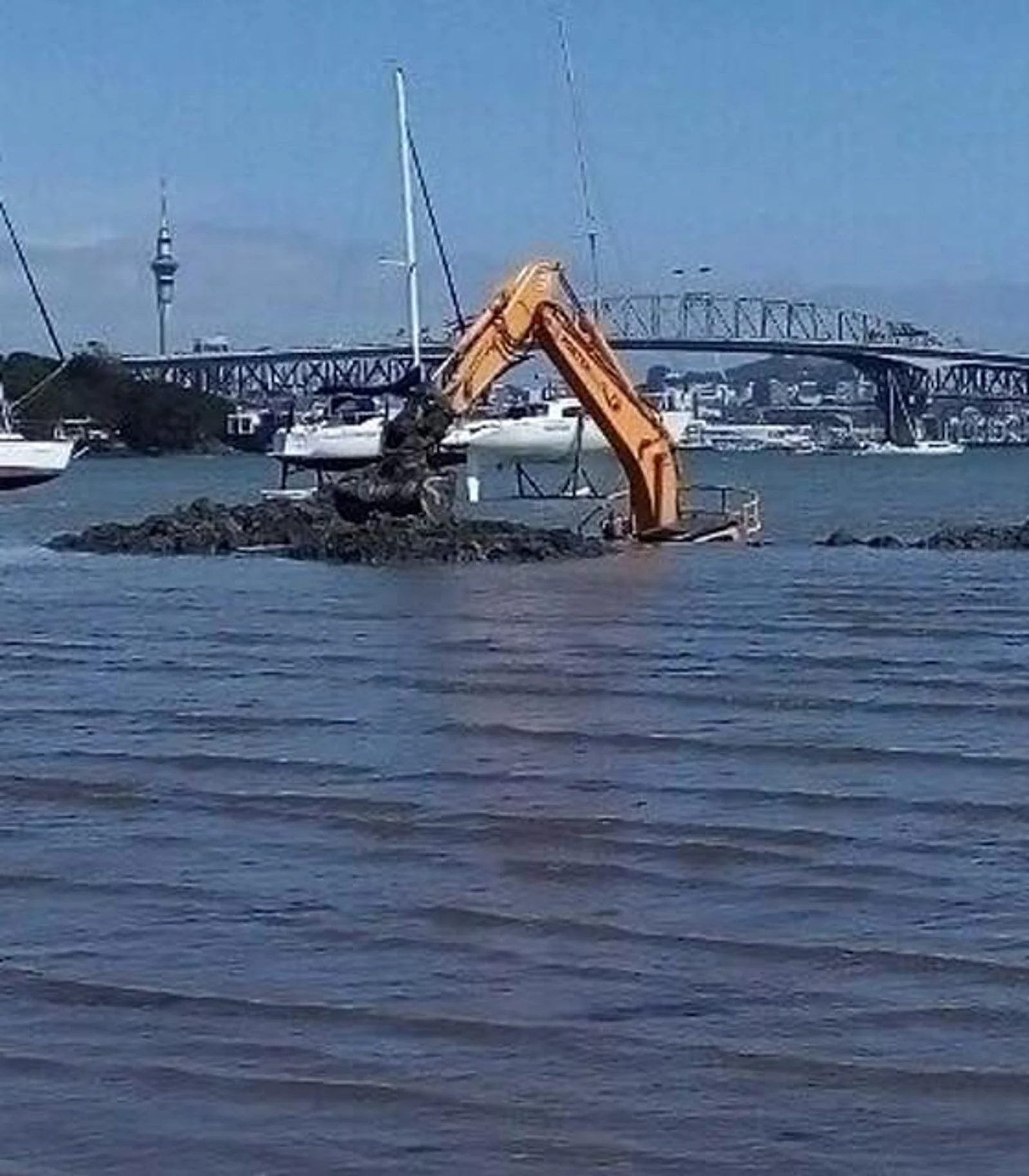 后花园【今日要闻】奥克兰海滩惊现“庞然大物”，3天都拔不出来|SkyCity火灾可能由一名青少年引起