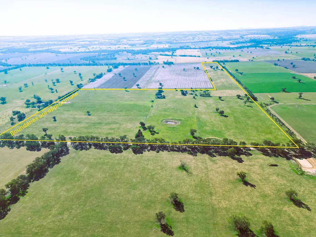 Walla Walla “Killara” – Productive Rural Holding in the Heart of Walla Walla District