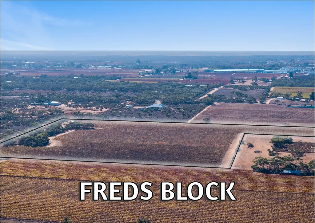 Winkie FREDS BLOCK