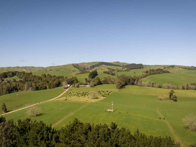 Pond Road, Raglan, Waikato, 0 phòng ngủ, 1 phòng tắm, Lifestyle Property