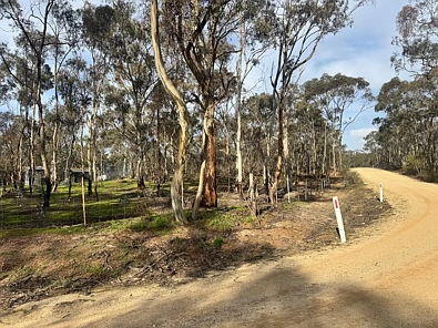 16 Alice Street, Dunolly, VIC 3472, 0房, 0浴, Lifestyle Property