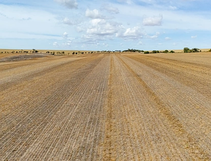 Lot 823 Stevies Road, Ardrossan, Barossa - Yorke - Mid North, 0 chambres, 0 salles de bain, Lifestyle Property