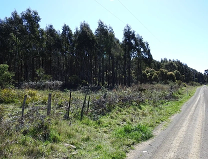 LOT 2140066/2140066 Hop Valley Road, Blackwood Creek, Launceston and North East, 0 રૂમ, 0 બાથરૂમ, Lifestyle Property