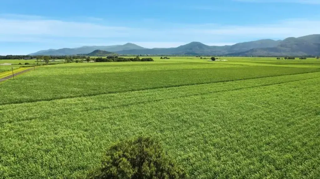 Gordonvale  49 Acre Rural Paradise - Gordonvale Gateway