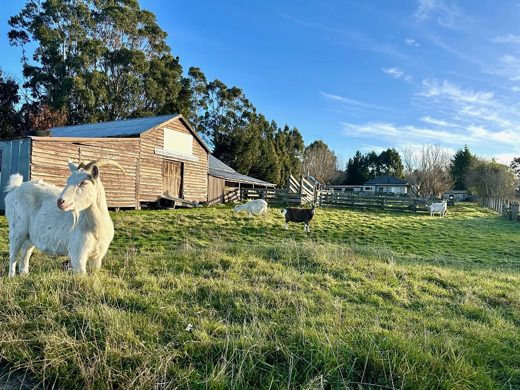 Balclutha 3ห้องนอน Dreaming of lifestyle living?