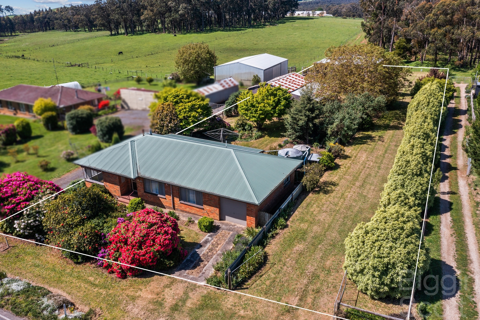 599 DAYLESFORD-TRENTHAM RD, MUSK VIC 3461, 0 phòng ngủ, 0 phòng tắm, House