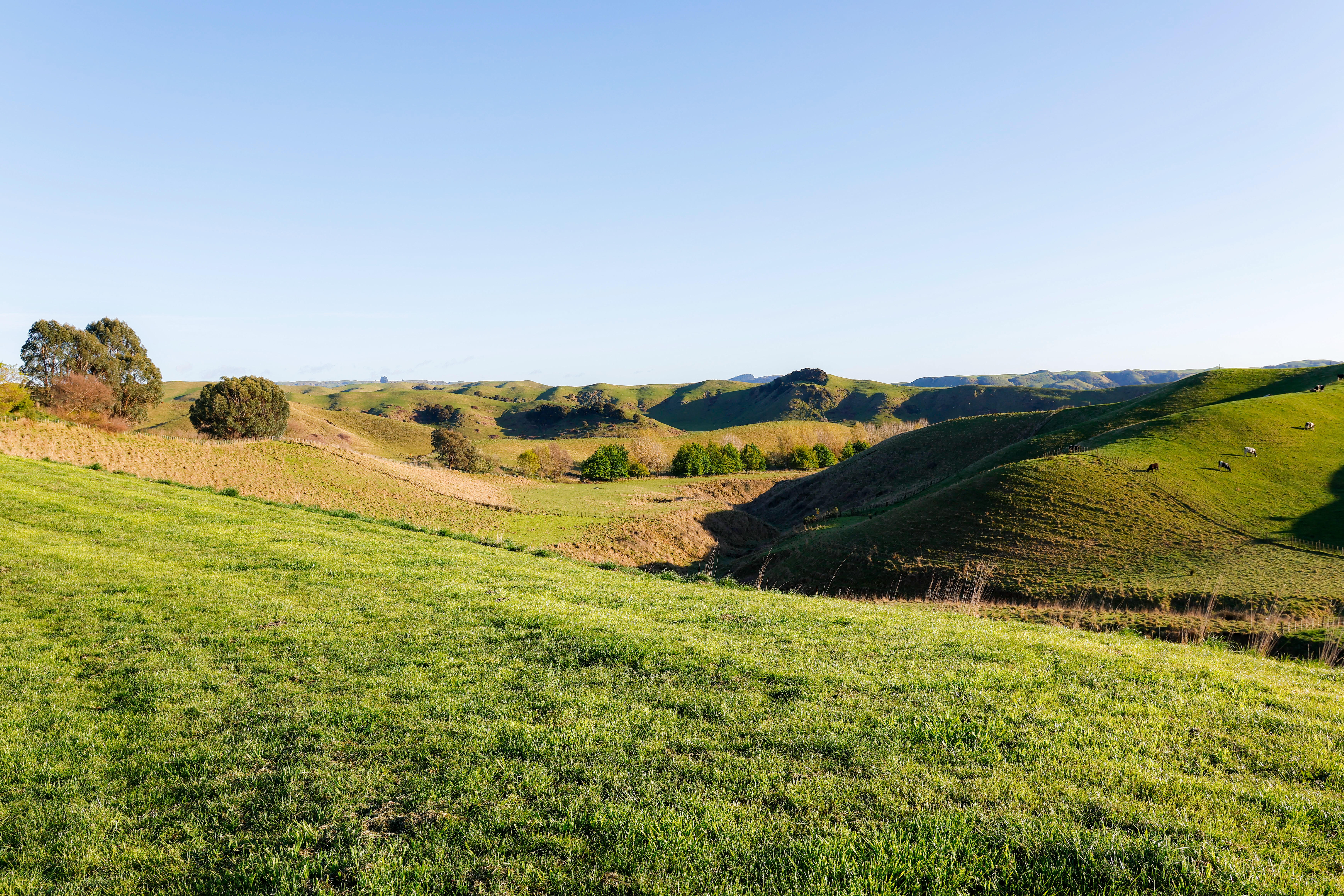 Kawera Road, Central Hawkes Bay Coastal, Hastings, 0 રૂમ, 0 બાથરૂમ, Lifestyle Section