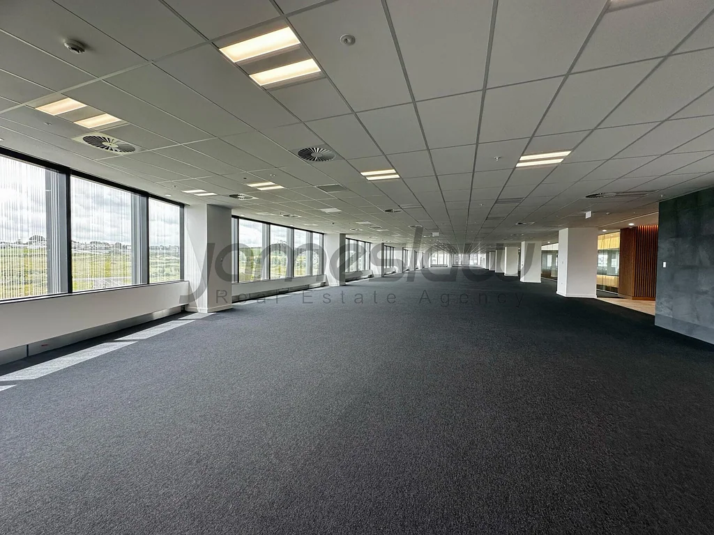 Albany Premium 2,737sqm Office Floor with Terrace