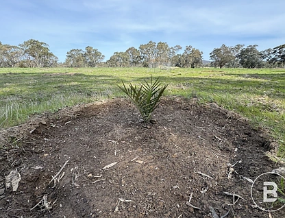 19 Moyreisk-Redbank Road, Redbank, Bendigo, 0 Schlafzimmer, 0 Badezimmer, Lifestyle Property