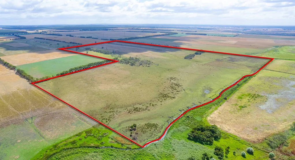 Heywood HEYWOOD - LONG SEASON GRAZING & FATTENING CATTLE COUNTRY