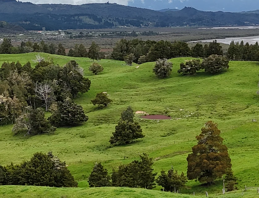 2895 State Highway 1, Okaihau, Far North, 0 રૂમ, 0 બાથરૂમ, Grazing