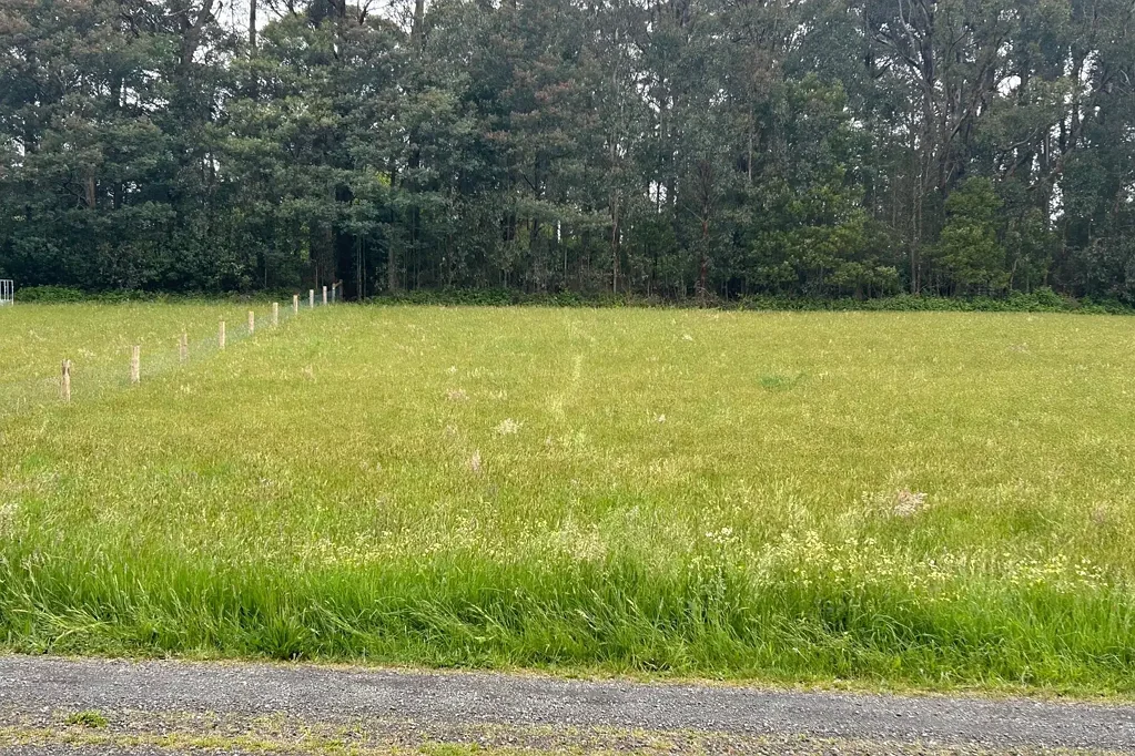 11 Parkside Road, Kinglake, VIC 3763