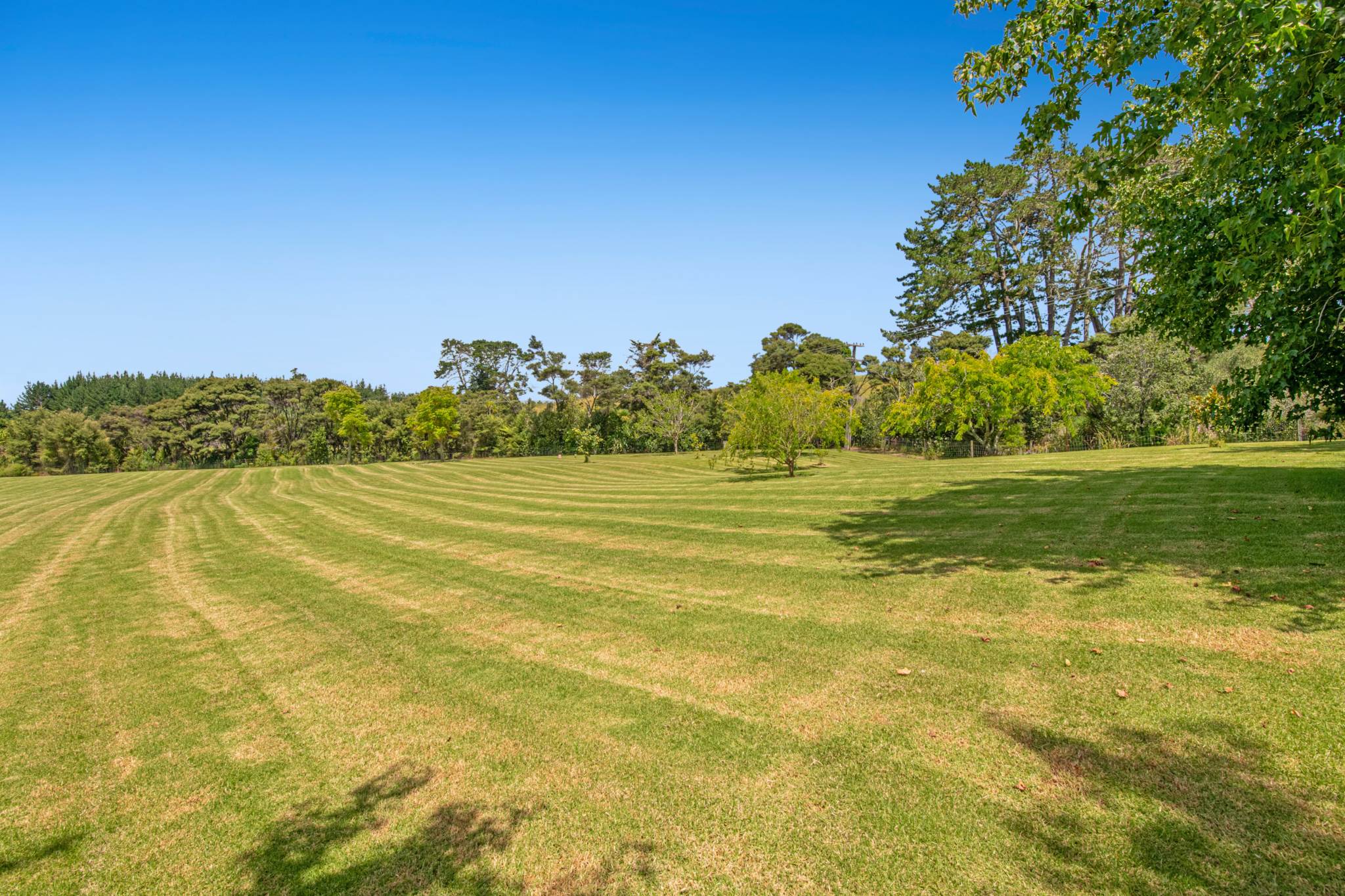 786 South Head Road, South Head, photo 10
