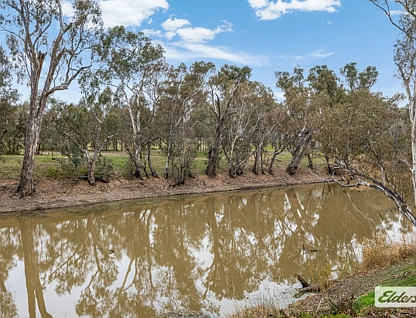 Cnr Burke Street and Giffard Street, Newbridge, Bendigo, 0 Kuwarto, 0 Banyo, Section