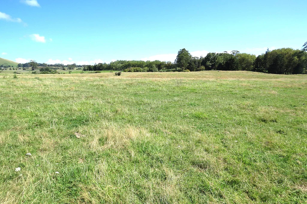 Ohaeawai Rural Horticulture 14.21 Hectares