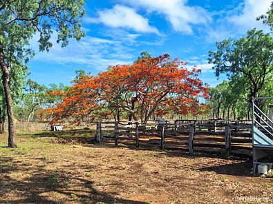 109 Short Road, Dimbulah, QLD 4872, 0 침실, 0 욕실, Lifestyle Property