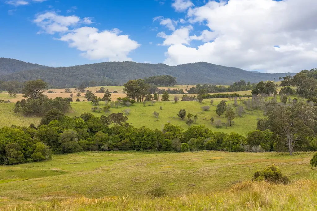 Bunyah  Scale and Location