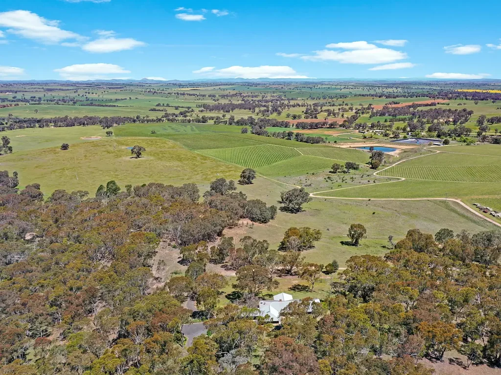Young  Stunning Elevated Bush Holding with Magical Views of the Rolling Hills & Vineyar