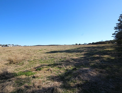 25556 New England Hwy, Applethorpe, Darling Downs, 0 कमरे, 0 बाथरूम, Section