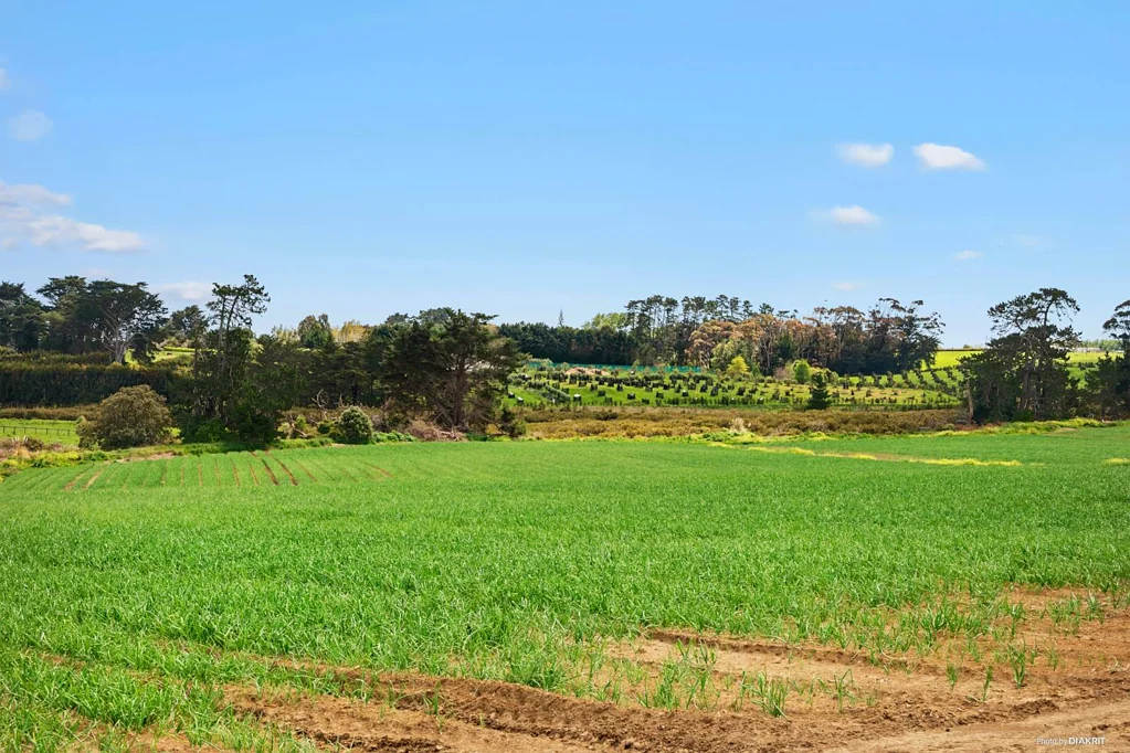 Waiau Pa Incredible Opportunity