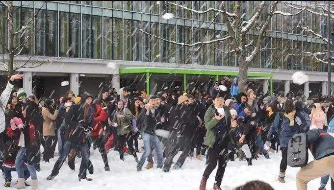 温哥华大雪极寒封城，全城瘫痪，公交学校全停！这些奇葩事把所有人都笑喷了~