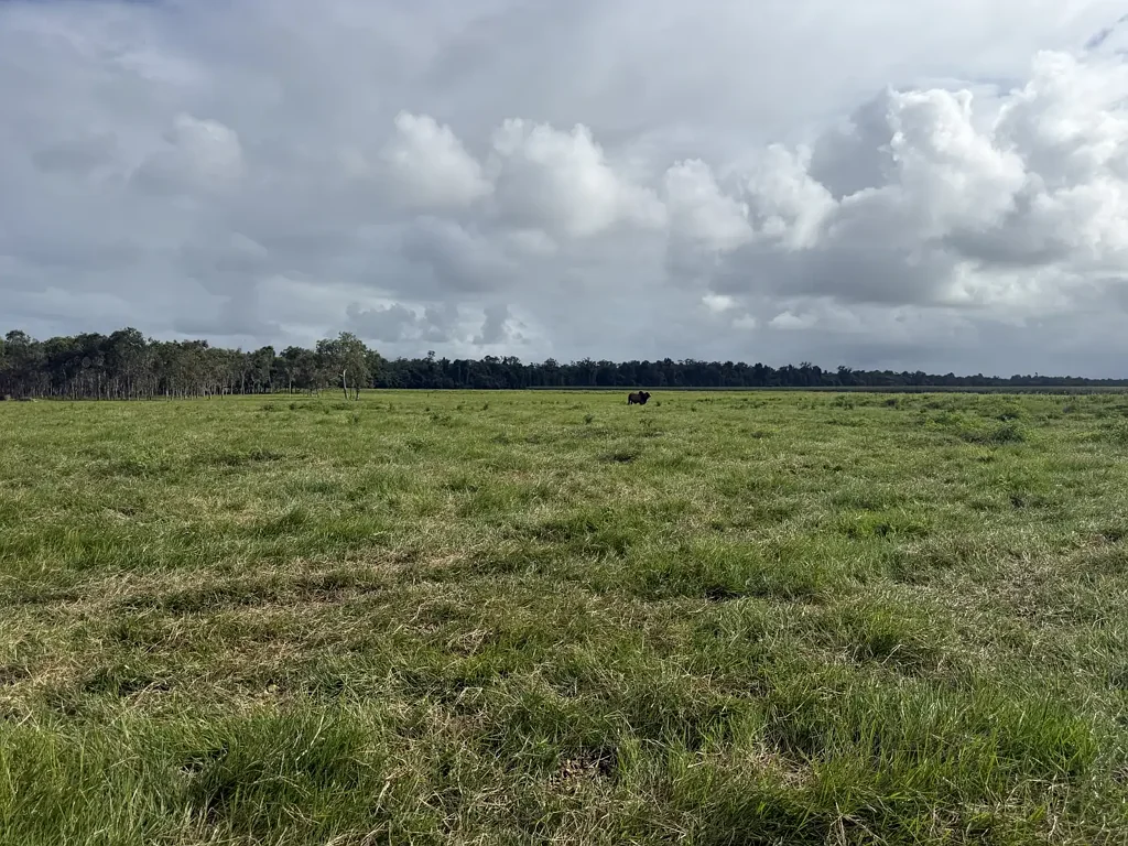 Rockingham Massive Shed with Residence on 27.37 ha Tully district Cattle Property with Cattle Yards and Water Bore