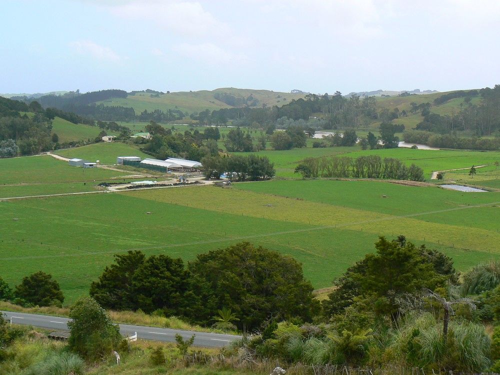 412b Pukehuia Road, Tangiteroria, Kaipara, 0 habitaciones, 0 baños, Dairy