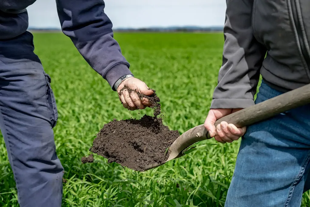 Pittsworth Farming Excellence on the Darling Downs