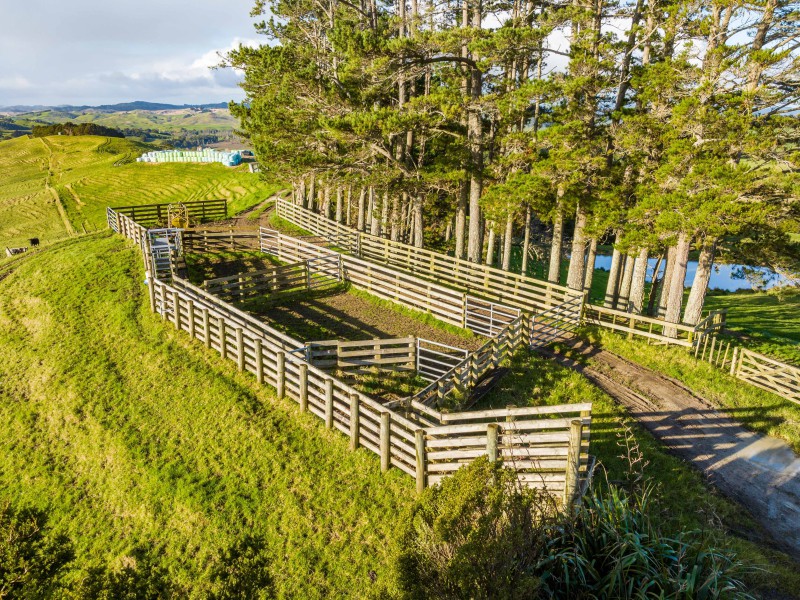 85 Lusk Road, Ruawai, Kaipara, 0 phòng ngủ, 1 phòng tắm, Grazing