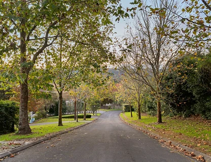 Lot 7/82 Upper Harbour Drive, Greenhithe, North Shore City, 0 રૂમ, 0 બાથરૂમ, Section