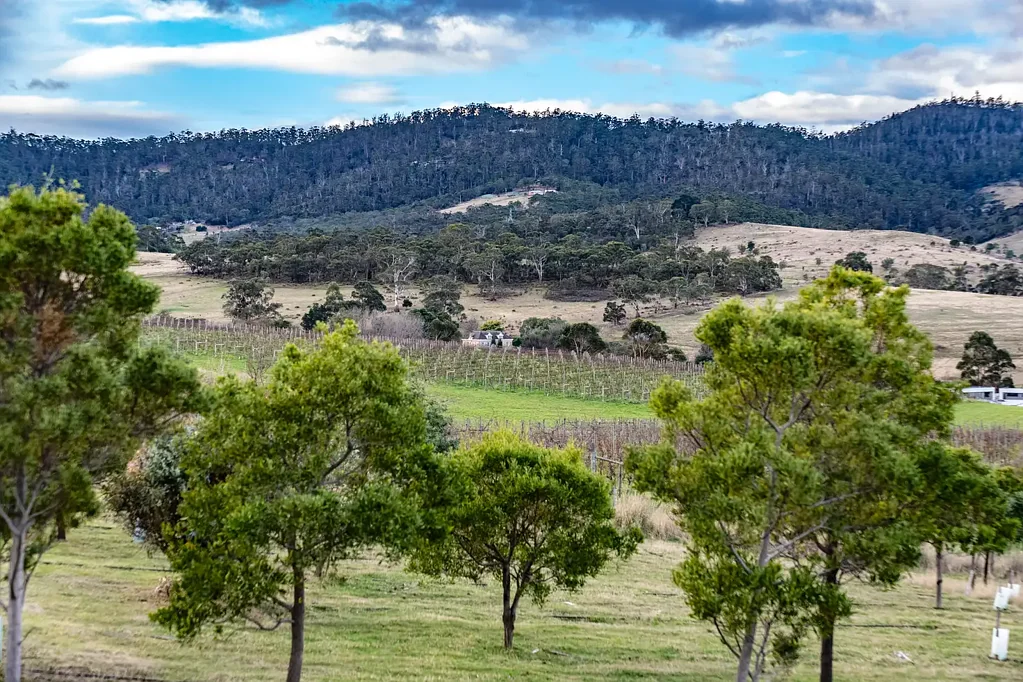 Howrah 3房  Vineyard Views, Contemporary Design, and Everyday Convenience