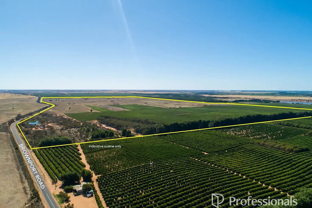 Iraak Irrigated Agri Development Farm - 273.6Ha