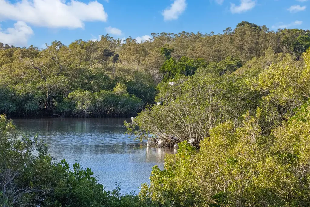Tweed Heads South 6 Bedroom Dual Living Dual Income? Stunning Water Views Close to all Major Amenities
