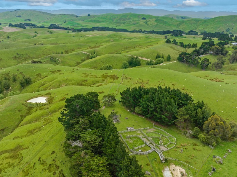 146 Kaituna Road, Pongaroa, Tararua, 0 રૂમ, 0 બાથરૂમ