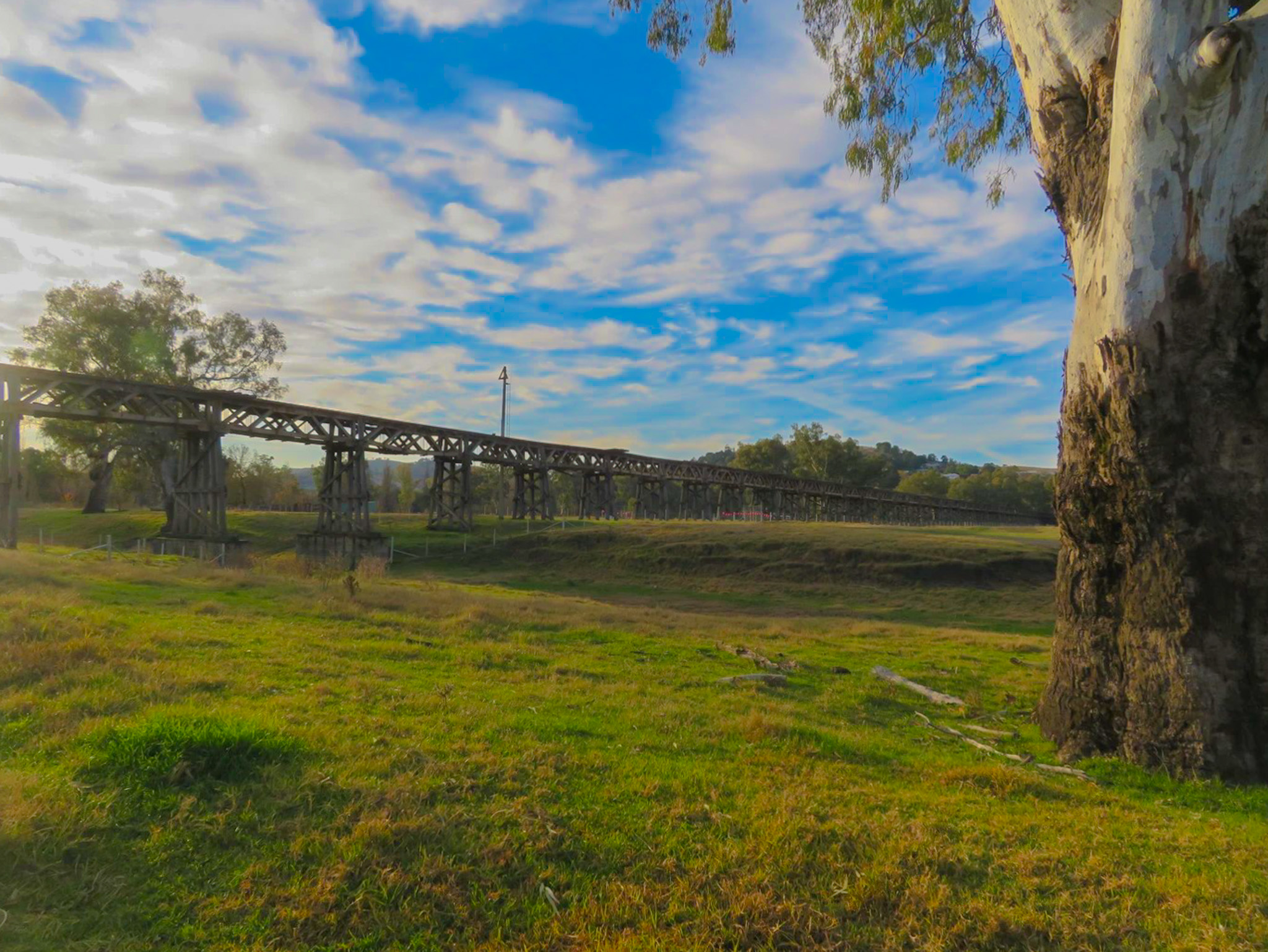 8 LANDON ST, GUNDAGAI NSW 2722, 0 rūma, 0 rūma horoi, Section