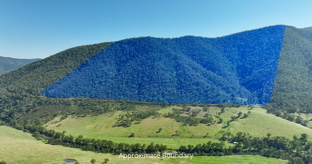 Dargo Wonnangatta Wilderness