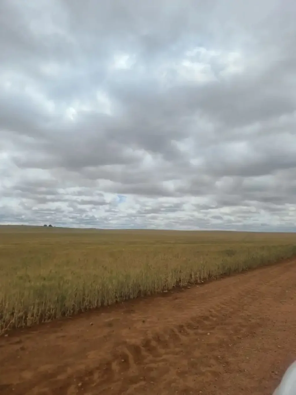 Wunkar Rich Soil, Endless Potential Farm for Sale