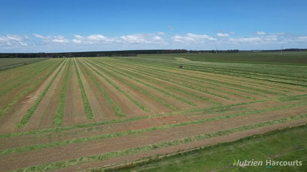 Bradvale Superb Cropping opportunity in Western District - 315 acres