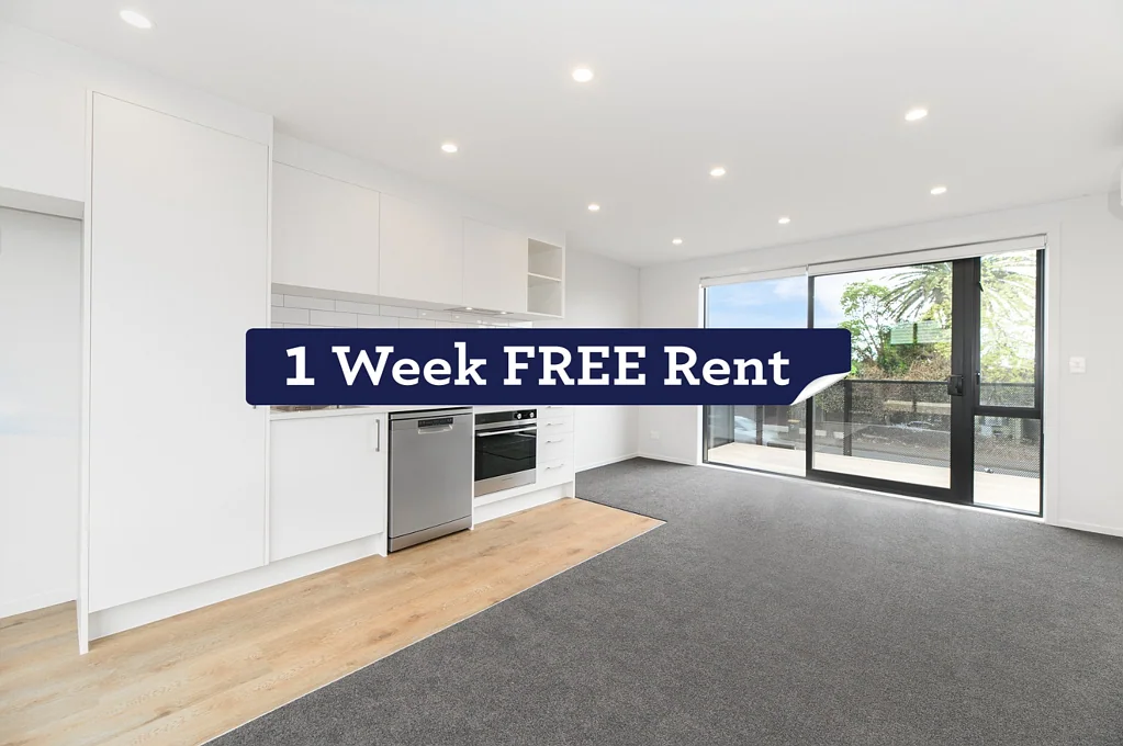 Modern living in New Lynn